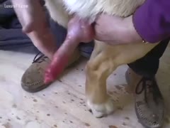 Two-dog dock